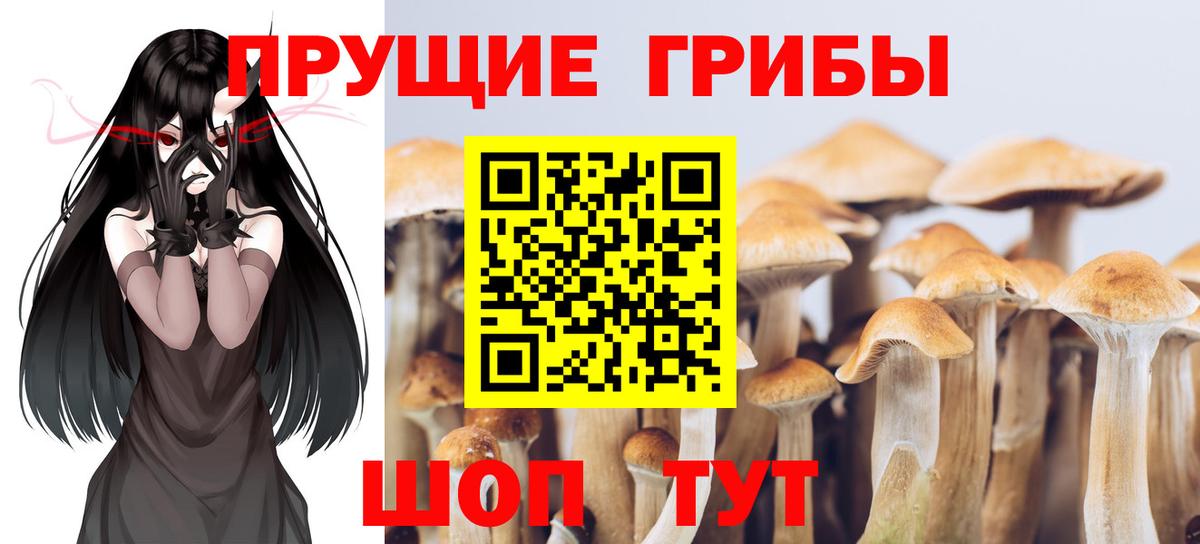 Псилоцибиновые грибы MAGIC MUSHROOMS  Вход с VPN  где купить наркотик  Тимашёвск  Псилоцибиновые грибы мицелий 